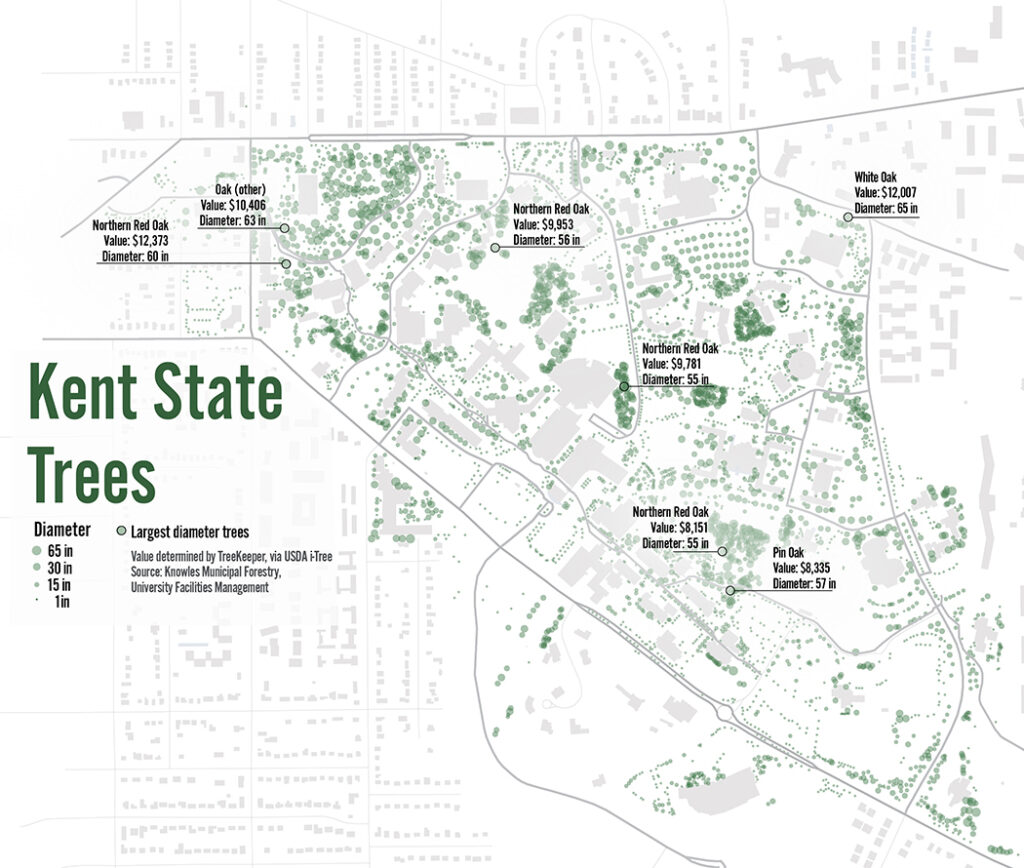 This map uses USDA i-Tree software to show the location, diameter and value of trees on the Kent State campus.